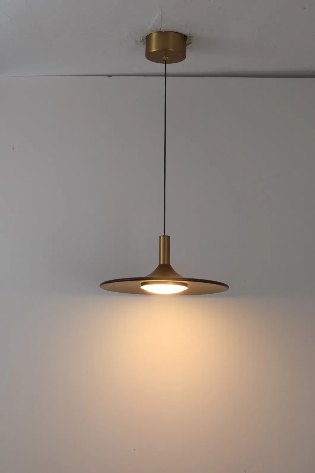Masivel Lighting Factory Styliship Modern Indoor LED Pendant Light with Brass+Wooden Color for Home Hotel Loft